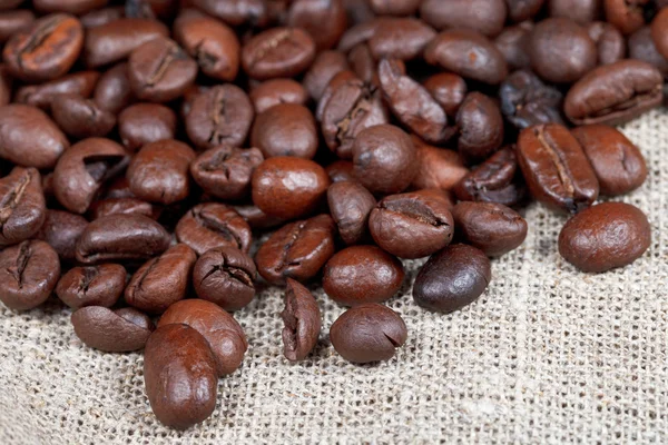 Many roasted coffee beans on sacking — Stock Photo, Image