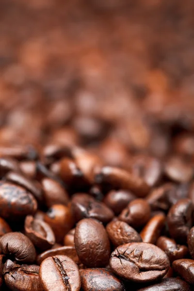 Fond de nombreux grains de café torréfiés — Photo