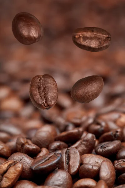 Cuatro judías caídas y café tostado — Foto de Stock