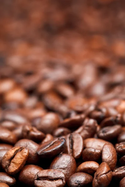 Light roasted coffee beans background — Stock Photo, Image