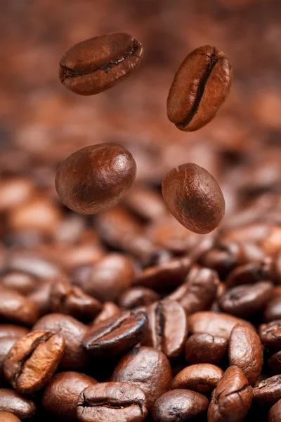 Four falling coffee beans and roasted coffee — Stock Photo, Image