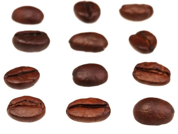 Řádky a řádky z pražených kávových zrn — Stock fotografie