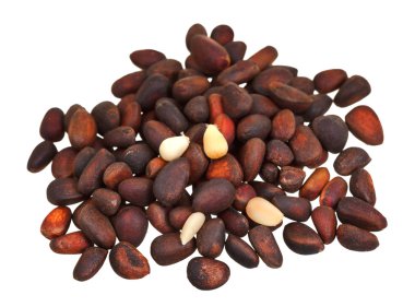 Sedir fındık izole bir avuç