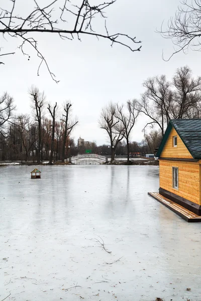Παγωμένη λίμνη με πεζογέφυρα στο αστικό πάρκο — Φωτογραφία Αρχείου