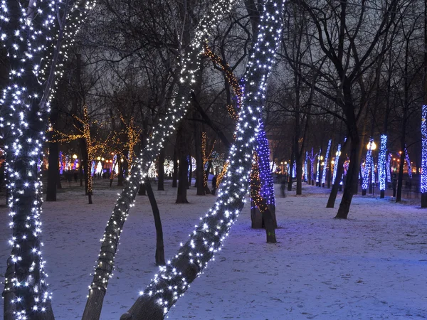 Ночное освещение Московского бульвара — стоковое фото