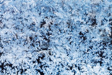 kar taneleri ve frost desen cam üzerinde kapat