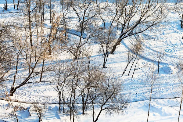 Boven uitzicht op besneeuwde stedelijke park in de winter — Stockfoto