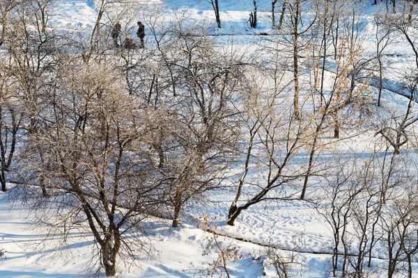 Snowy park miejski w dzień słoneczny zimowy — Zdjęcie stockowe