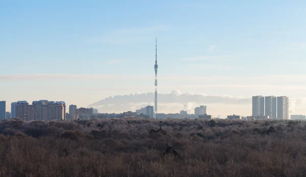 Manhã cedo céu azul sobre parque da cidade — Fotografia de Stock