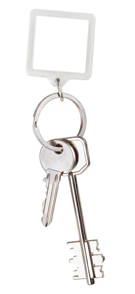 Two keys and square keychain on ring — Stock Photo, Image