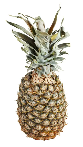 Ripe pineapple isolated on white — Stock Photo, Image