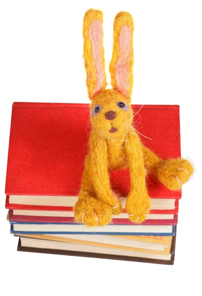 Bovenaanzicht van voelde zacht stuk speelgoed konijn op boeken — Stockfoto