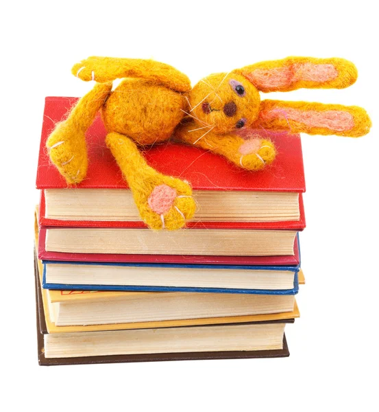 Felt soft toy rabbit lies on stack of books — Stock Photo, Image