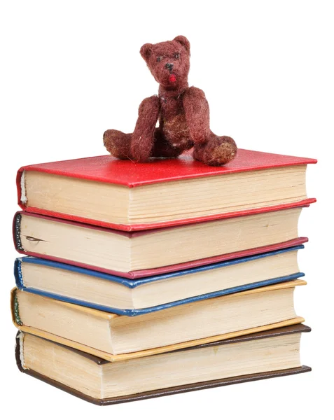 Felt soft toy bear sits on books — Stock Photo, Image