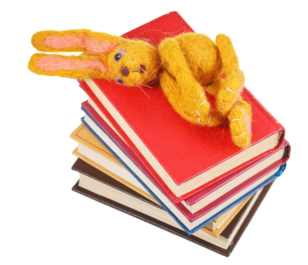 Top view of felt toy rabbit lies on books — Stock Photo, Image