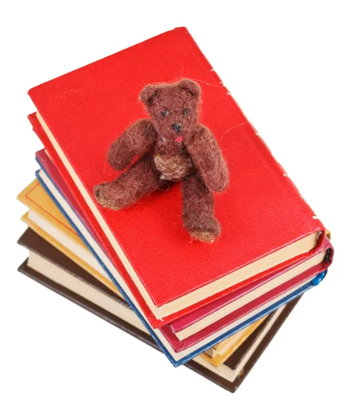 Top view of soft toy bear sits on books — Stock Photo, Image
