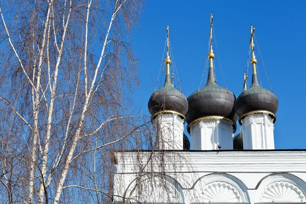 White birch and white walls of russian church — Stock Photo, Image