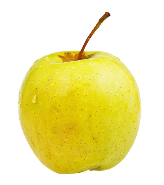 Yellow golden delicious apple — Stock Photo, Image