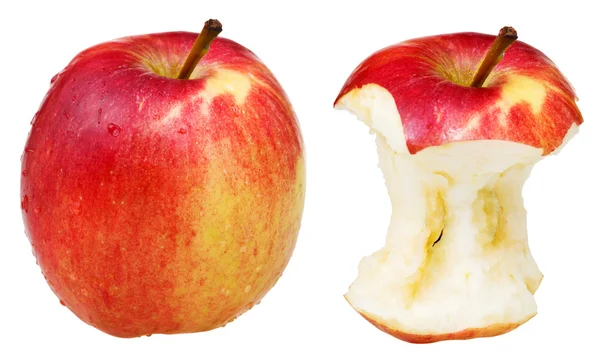 Core and whole wealthy apple — Stock Photo, Image