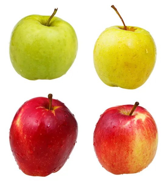 Set of ripe apples isolated on white — Stock Photo, Image