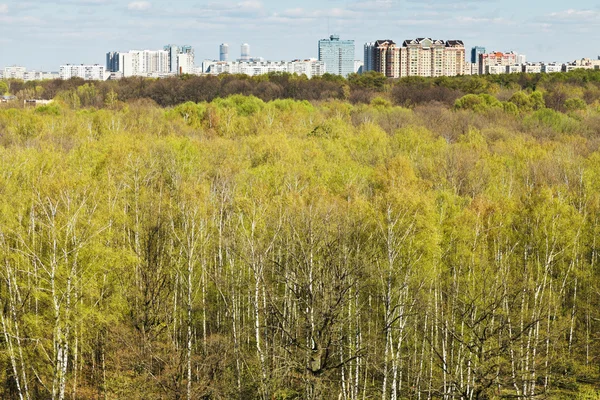 Frühlingswald und städtisches Wohnviertel — Stockfoto