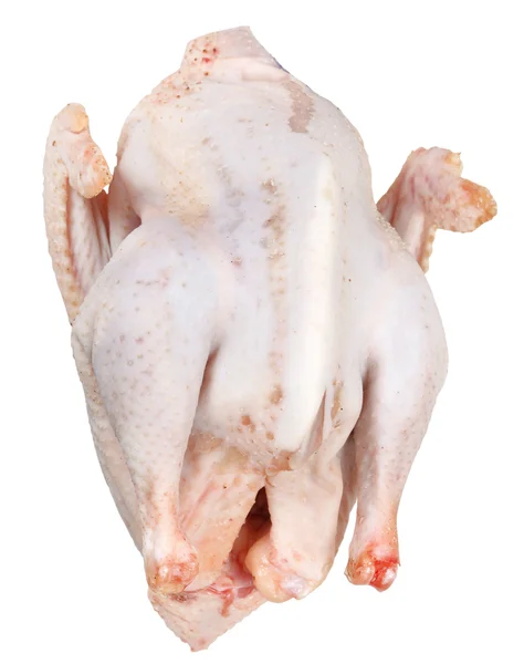 Сырая курица, изолированная на белом — стоковое фото