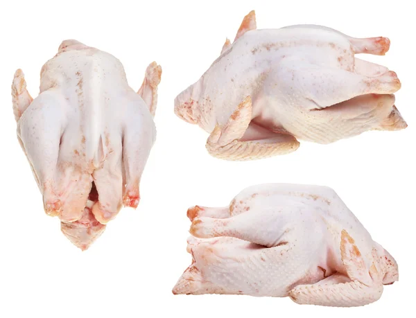 Set of raw plucked soup chickens — Stock Photo, Image