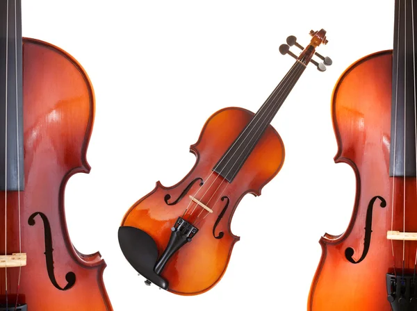 Halfs and full classical modern violins — Stock Photo, Image