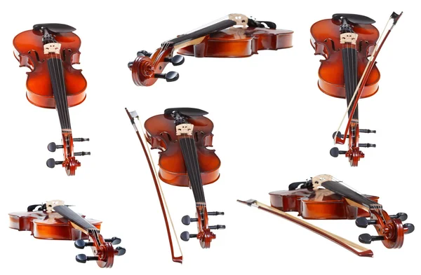 Set of classical modern violins isolated — Stock Photo, Image