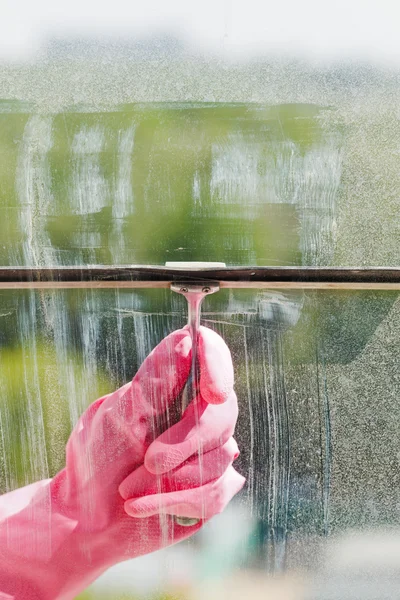 Hand in pink glove cleans window pane by squeegee — Stock Photo, Image