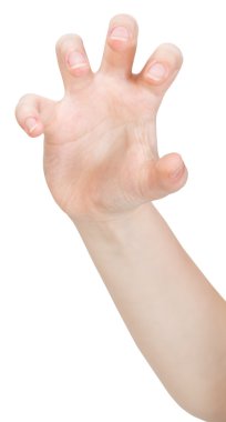 pençeleri Palm el hareketi-kapatın açın