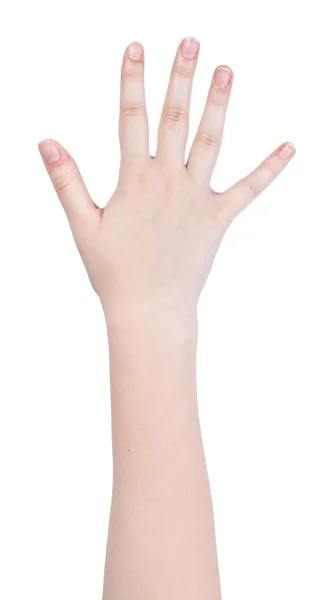Cinco dedos mão gesto isolado — Fotografia de Stock