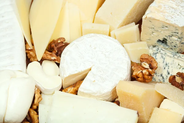 Assortment of sliced cheeses and walnuts — Stock Photo, Image