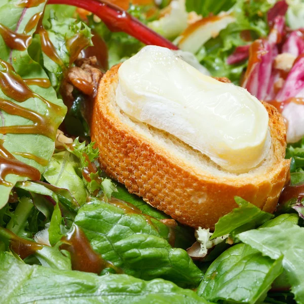 Crouton con queso de cabra en lettuche verde — Foto de Stock