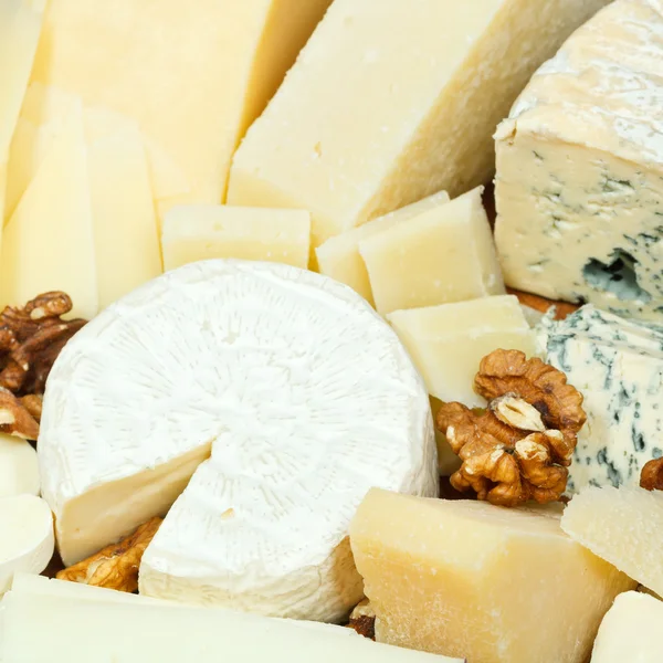 Various sliced cheeses and walnuts — Stock Photo, Image