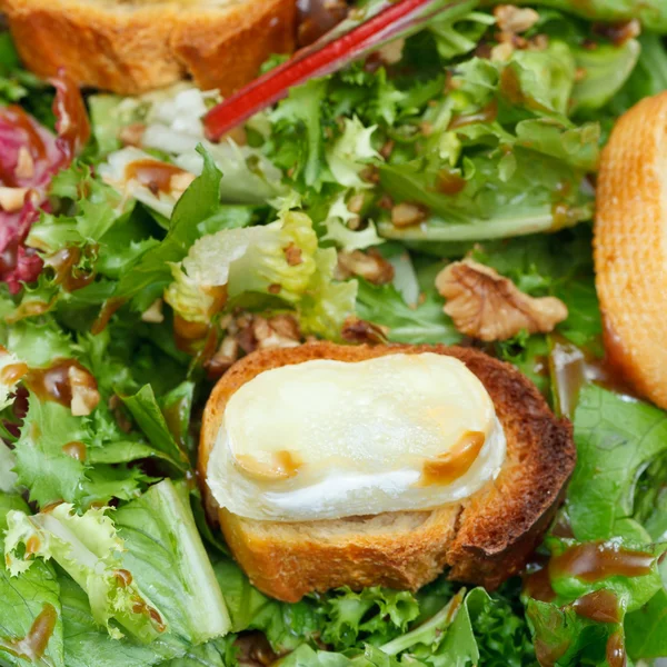 Wenige geröstete Brote mit Ziegenkäse auf Salat — Stockfoto