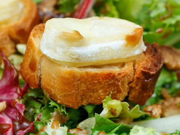 Pan tostado con queso de cabra en lettuche fresco — Foto de Stock