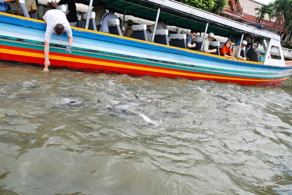 Tour fluviale in barca sul fiume Chao Phraya a Bangkok — Foto Stock