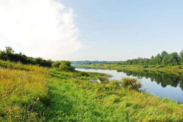 Ribeira verde de pequeno rio em dia de verão , — Fotografia de Stock