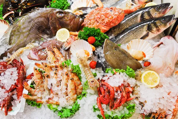 Raw fish and seafood in ice — Stock Photo, Image