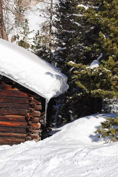 Snödriva på taket och fir tree i Dolomiterna, Italien — Stockfoto