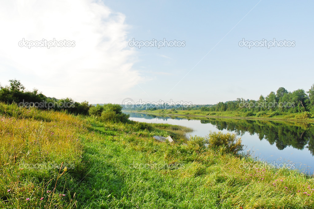 green riverside of small river in summer day,