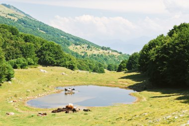 rural view in Monte Baldo mountains, Italy clipart