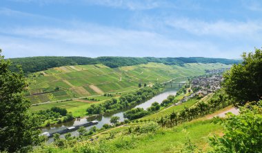 Moselle Nehri ile üzüm bağları tepelerde, Almanya