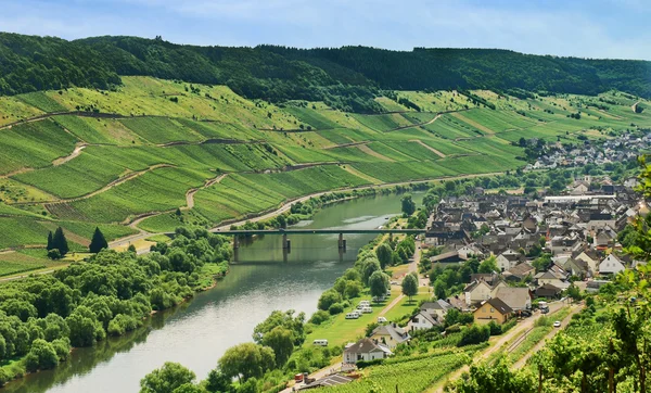 Town Zell and Moselle river, Alemanha — Fotografia de Stock