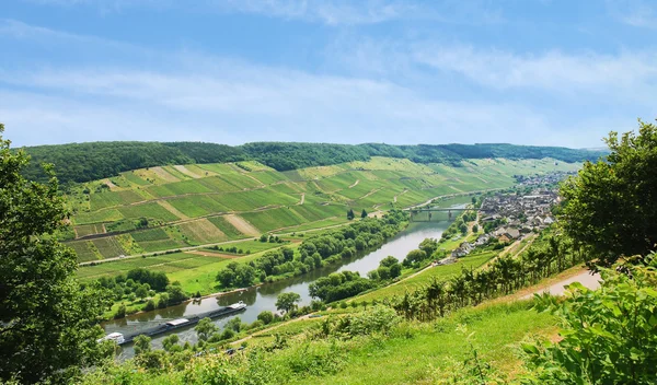 Řeka Mosela s vinicemi, na kopci, Německo — Stock fotografie