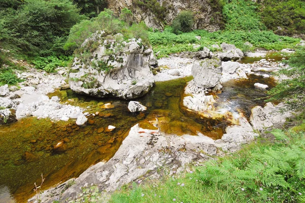 Řeka v hory národní park picos de europa — Stock fotografie