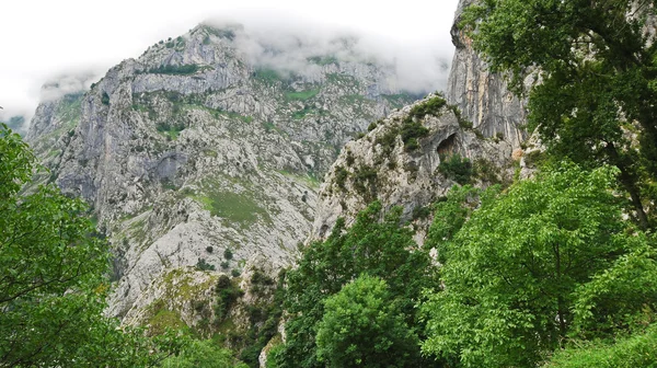 Wysokie góry w parku narodowym picos de europa — Stock fotografie