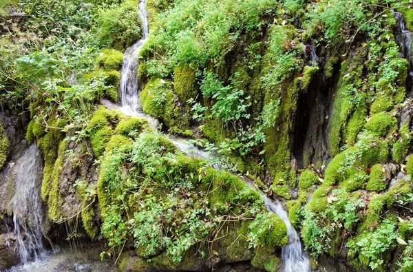 Stream flows into lake Garda from green mountain — Stock Photo, Image