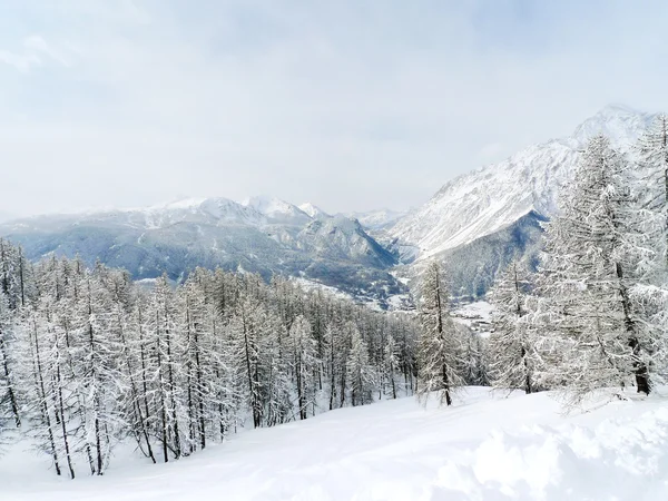 Snow mountain slope in skiing region Via Lattea — Stock Photo, Image